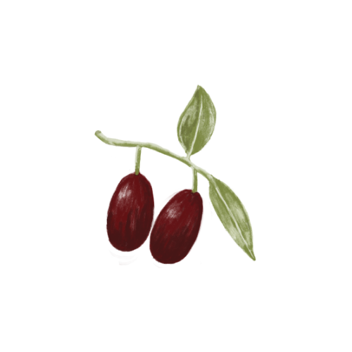 Jojoba