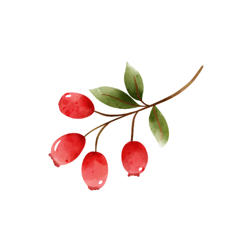 Rose Hip